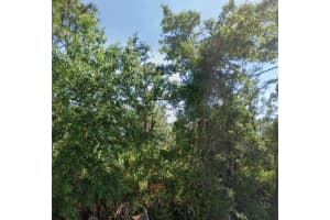 3304 LAKE HILL DRIVE, LAKE PLACID, FL 33852 Sold 03/13/25