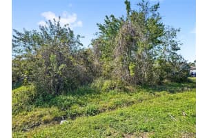 410 METZ LANE, KISSIMMEE, FL 34759 Sold 05/23/25