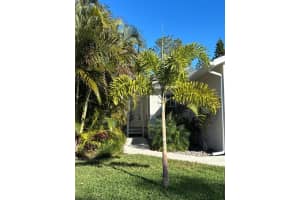 424 CAROLINA AVENUE, PALM HARBOR, FL 34683 - MLS#MFRO6285676