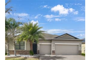 10009 CELTIC ASH DRIVE, RUSKIN, FL 33573 Sold 04/07/25
