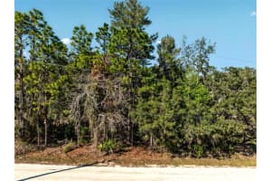 9003 GLENARM WAY, WEEKI WACHEE, FL 34613 - MLS#MFRO6285929