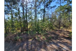 317 TANNERY LANE, LAKE PLACID, FL 33852 - MLS#MFRO6286009