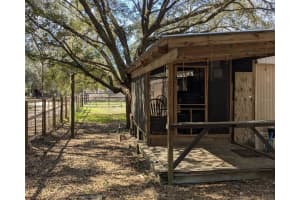 23942 121ST STREET, SALT SPRINGS, FL 32134 Sold 07/23/25