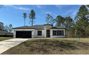 3520 WEBSTER PLACE, CITRUS SPRINGS, FL 34433 Sold 06/13/25