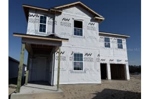 30158 RUSTIC MILL STREET, MOUNT DORA, FL 32757 - MLS#MFRO6286431