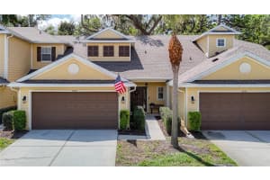 8539 SANDPIPER RIDGE AVENUE, TAMPA, FL 33647 - MLS#MFRO6286608