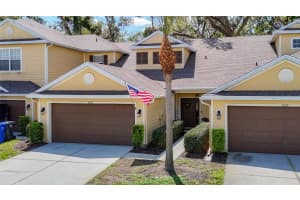 8539 SANDPIPER RIDGE AVENUE, TAMPA, FL 33647 - MLS#MFRO6286608