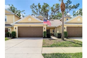 8539 SANDPIPER RIDGE AVENUE, TAMPA, FL 33647 - MLS#MFRO6286608