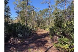 18415 21ST AVENUE, ORLANDO, FL 32833 Sold 06/14/25
