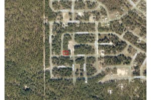SW 139 PLACE RD, OCALA, FL 34473 - MLS#MFRO6286757