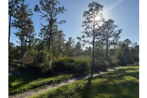 ROBERTSON ST, ORLANDO, FL 32833 - MLS#MFRO6286770