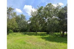 NE 9TH ST, WILLISTON, FL 32696 Sold 03/24/25