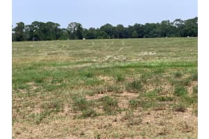 3448 LAKE DIANE ROAD, TAVARES, FL 32778 - MLS#MFRO6287404