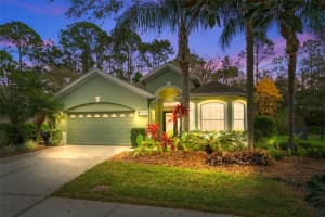 10290 CYPRESS VINE DRIVE, ORLANDO, FL 32827 Sold 05/07/25