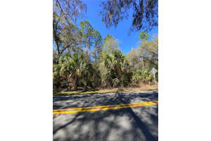 2519 PLUMTREE LANE, DUNNELLON, FL 34433 - MLS#MFRO6287518