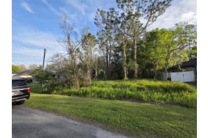 0 CANNOCK DRIVE, KISSIMMEE, FL 34758 - MLS#MFRO6287705