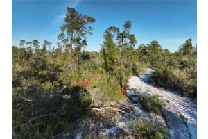 2160 HONEY DEW AVENUE, SEBRING, FL 33875 Sold 03/26/25