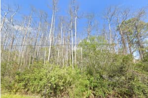 Mardi Gras St, ORLANDO