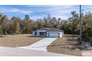 9001 ELKCAM BOULEVARD, CITRUS SPRINGS, FL 34433 - MLS#MFRO6288229