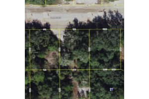 322 BASS COURT, KISSIMMEE, FL 34759 Sold 06/06/25