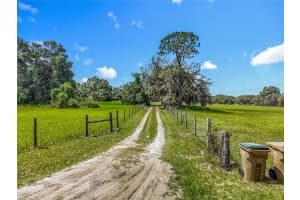 41204 EMERALDA ISLAND ROAD, LEESBURG, FL 34788 - MLS#MFRO6288406