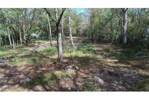 CEDARHURST RD, ORLANDO, FL 32820 - MLS#MFRO6288442