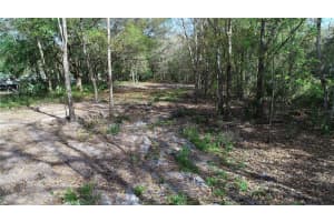 CEDARHURST RD, ORLANDO, FL 32820 - MLS#MFRO6288442