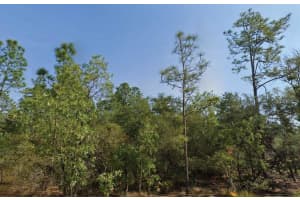 4119 FIREWOOD LOOP, DUNNELLON, FL 34433 Sold 05/08/25