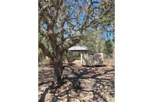 12403 SNOWY EGRET AVENUE, WEEKI WACHEE, FL 34614 Sold 06/13/25