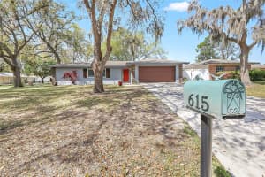 615 CAMELIA STREET, MOUNT DORA, FL 32757 Sold 04/25/25