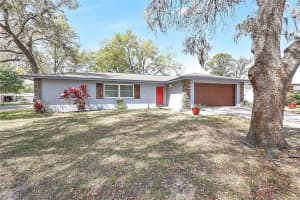 615 CAMELIA STREET, MOUNT DORA, FL 32757 Sold 04/25/25