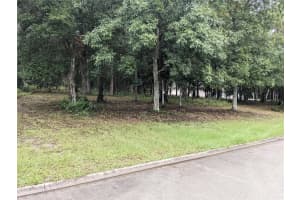 85 TROTTERS LANE, FLAGLER BEACH, FL 32136 Sold 04/01/25