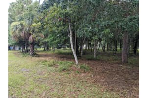 85 TROTTERS LANE, FLAGLER BEACH, FL 32136 Sold 04/01/25