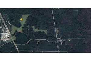 000 HUNTING CAMP RD, NEW SMYRNA BEACH, FL 32168 Sold 04/18/25