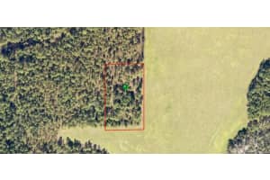 000 HUNTING CAMP RD, NEW SMYRNA BEACH, FL 32168 Sold 04/18/25