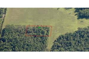 000 HUNTING CAMP RD, NEW SMYRNA BEACH, FL 32168 Sold 04/18/25