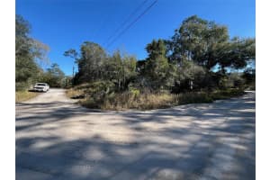 24955 131ST PLACE, FORT MC COY, FL 32134 Sold 07/03/25