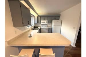1406 PARK SHORE CIRCLE, FORT MYERS, FL 33901 - MLS#MFRO6288842