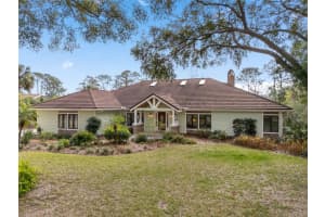 2931 Sunbittern Ct, WINDERMERE