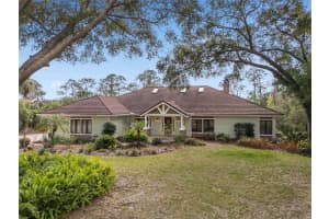 2931 SUNBITTERN COURT, WINDERMERE, FL 34786 - MLS#MFRO6288931