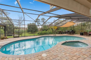 2931 SUNBITTERN COURT, WINDERMERE, FL 34786 - MLS#MFRO6288931