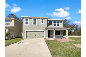 10019 WARM STONE STREET, THONOTOSASSA, FL 33592 Sold 04/21/25