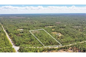 1185 GOPHER SLOUGH ROAD, MIMS, FL 32754 - MLS#MFRO6289319