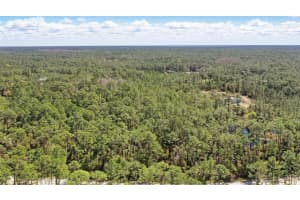1185 GOPHER SLOUGH ROAD, MIMS, FL 32754 - MLS#MFRO6289319