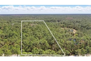 1185 GOPHER SLOUGH ROAD, MIMS, FL 32754 - MLS#MFRO6289319