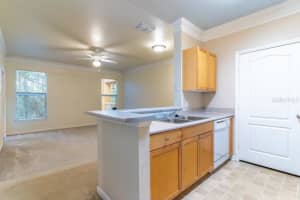 19920 VILLA RIDGE DRIVE, ORLANDO, FL 32821 Sold 05/07/25
