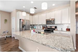 2300 NATOMA BOULEVARD, MOUNT DORA, FL 32757 Sold 06/13/25
