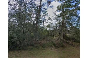 1335 ST AUGUSTINE COURT, POINCIANA, FL 34759 - MLS#MFRO6289603