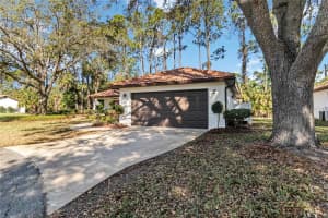 113 CHICKADEE COURT, DAYTONA BEACH, FL 32119 Sold 09/05/25