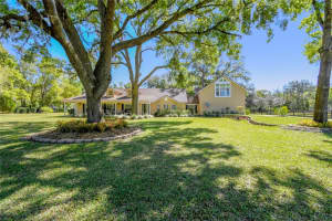 40600 LOUISE ROAD, UMATILLA, FL 32784 Sold 06/02/25